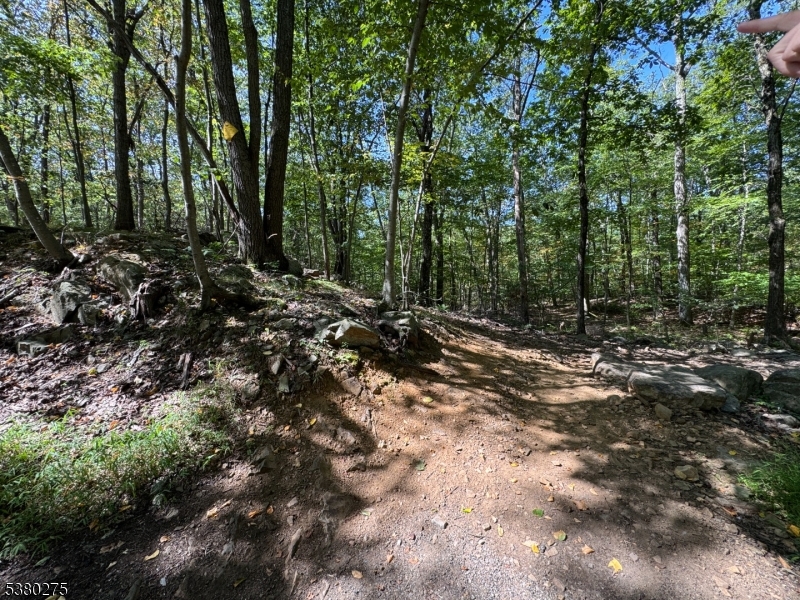 802 Brooklyn Mountain Road Hopatcong, NJ 07821 - Photo 3 of 4 a view of outdoor space and trees