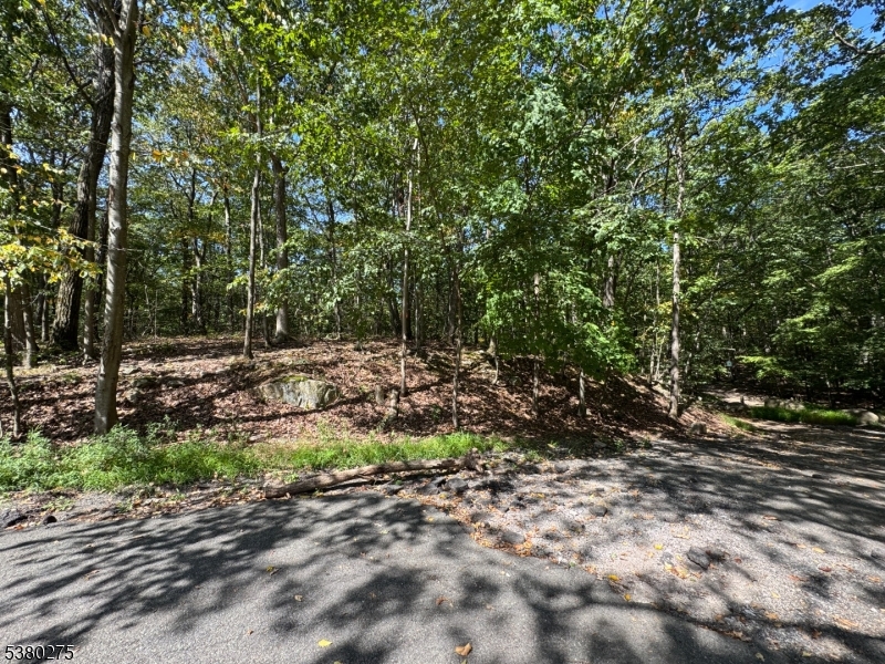 802 Brooklyn Mountain Road Hopatcong, NJ 07821 - Photo 4 of 4 a view of a forest with trees