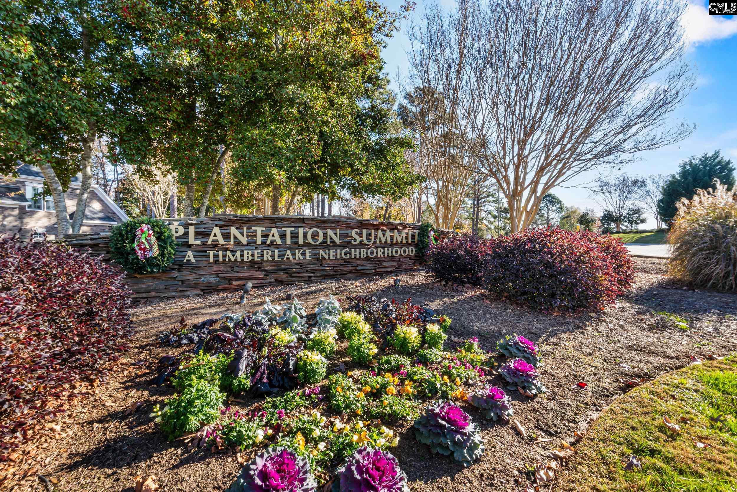413 Oxenbridge Way Chapin, SC 29036 - Photo 43 of 51