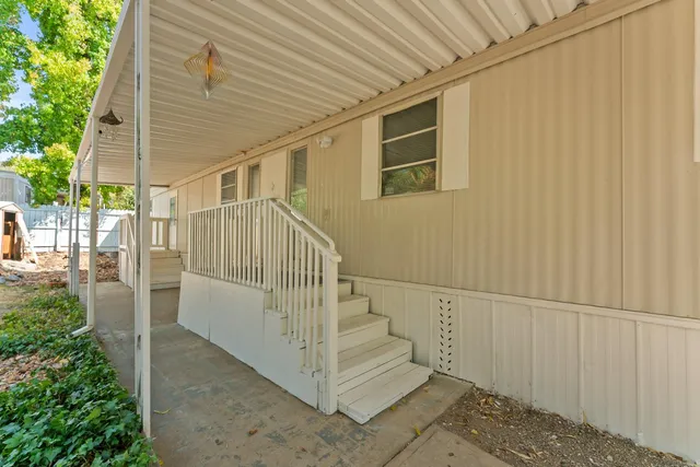 a view of a yard with plants and trees