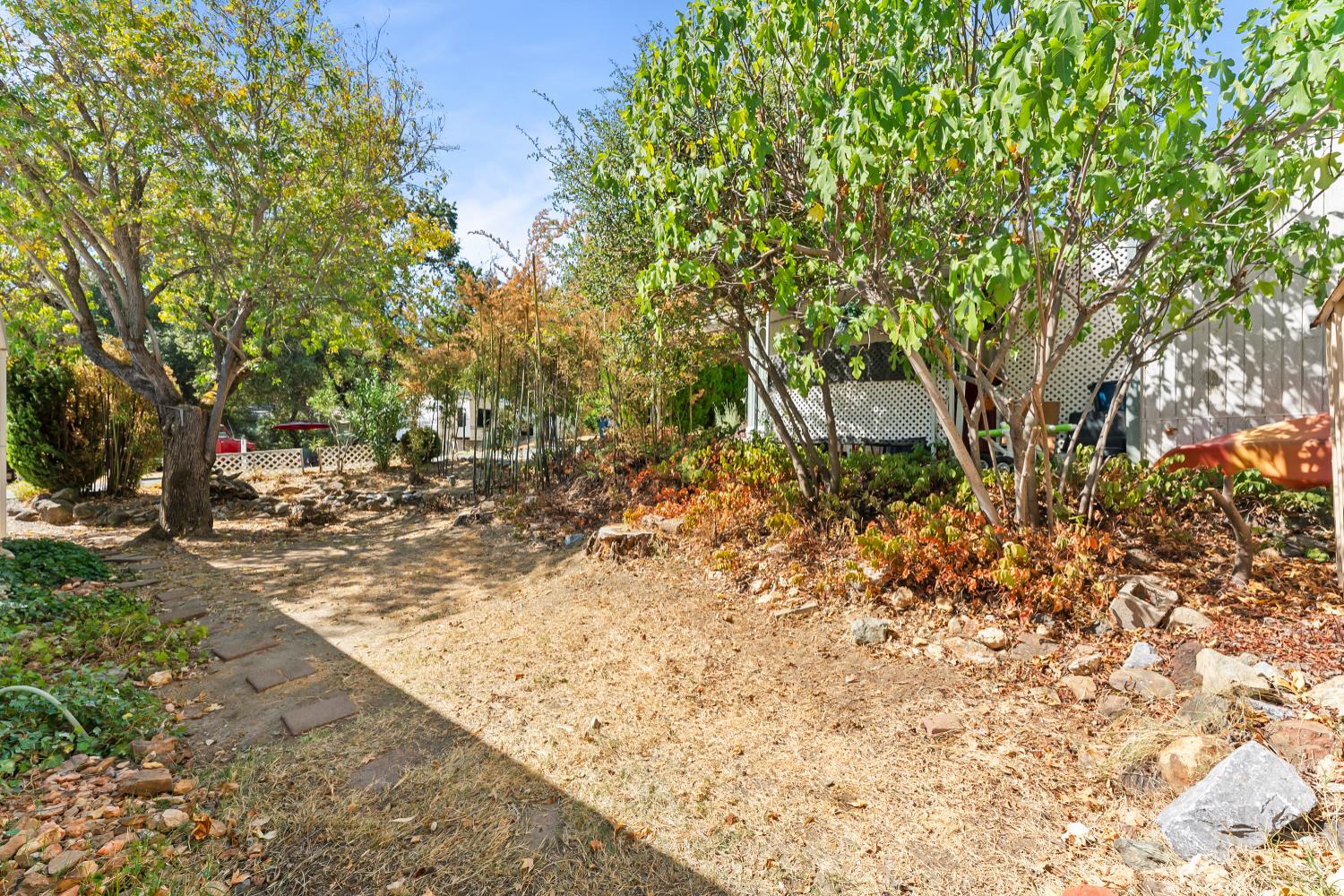 1525 Cold Springs Road, Unit 48 Placerville, CA 95667 - Photo 28 of 44 a view of a yard with plants and trees