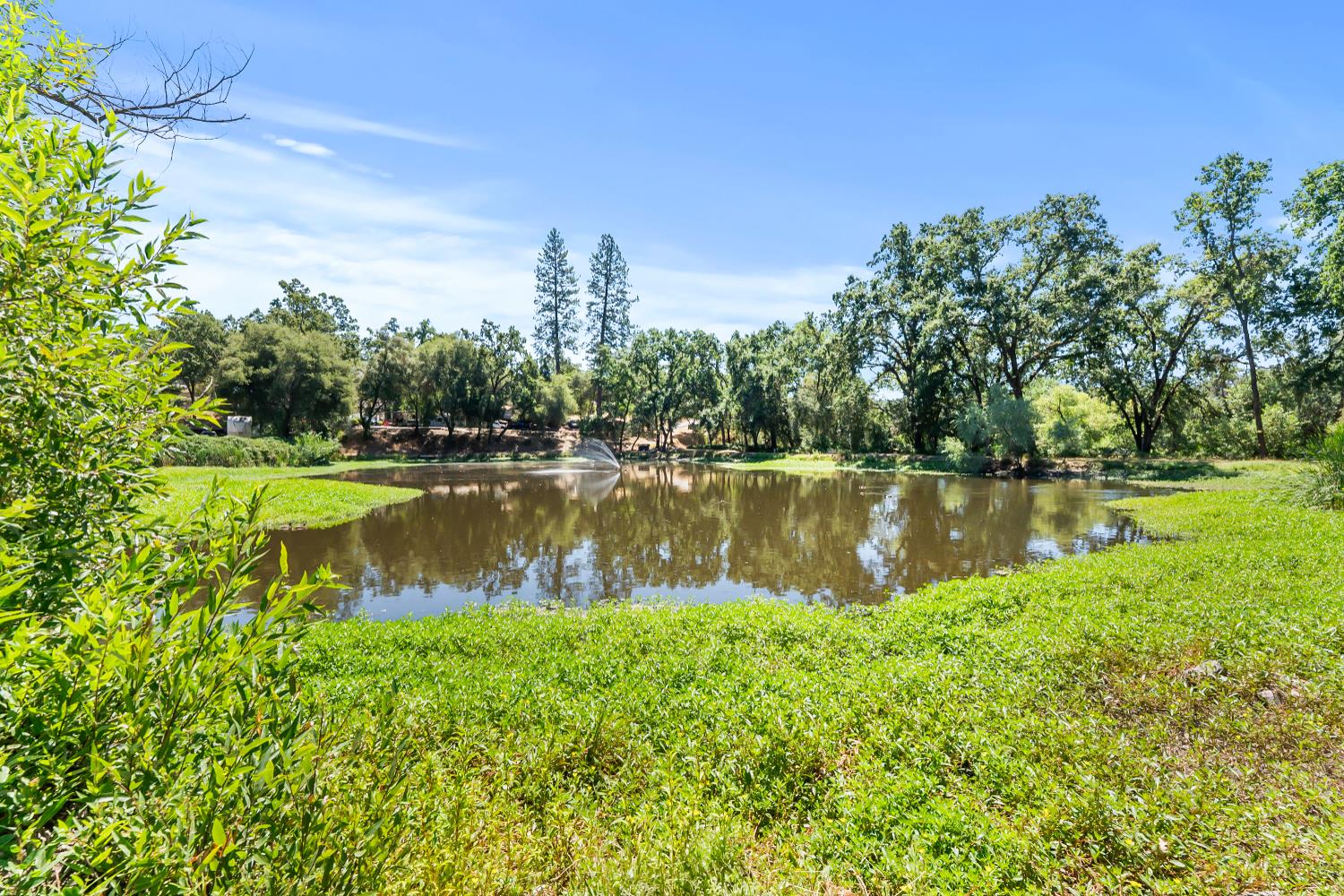 1525 Cold Springs Road, Unit 48 Placerville, CA 95667 - Photo 36 of 44 a view of a lake with a big yard