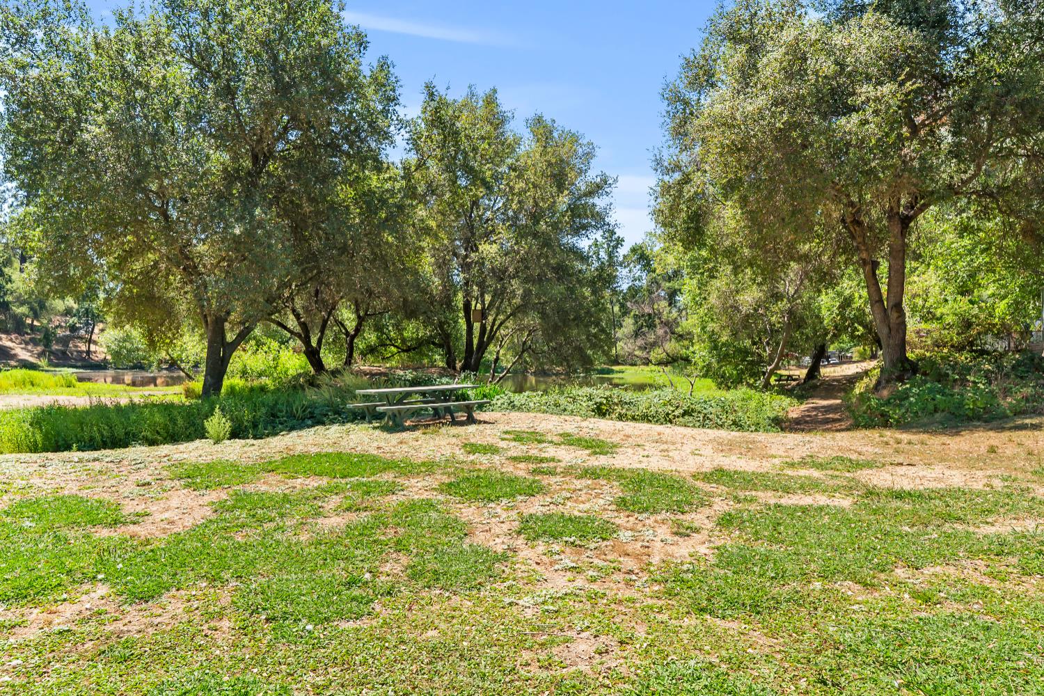 1525 Cold Springs Road, Unit 48 Placerville, CA 95667 - Photo 39 of 44 a view of a yard with trees