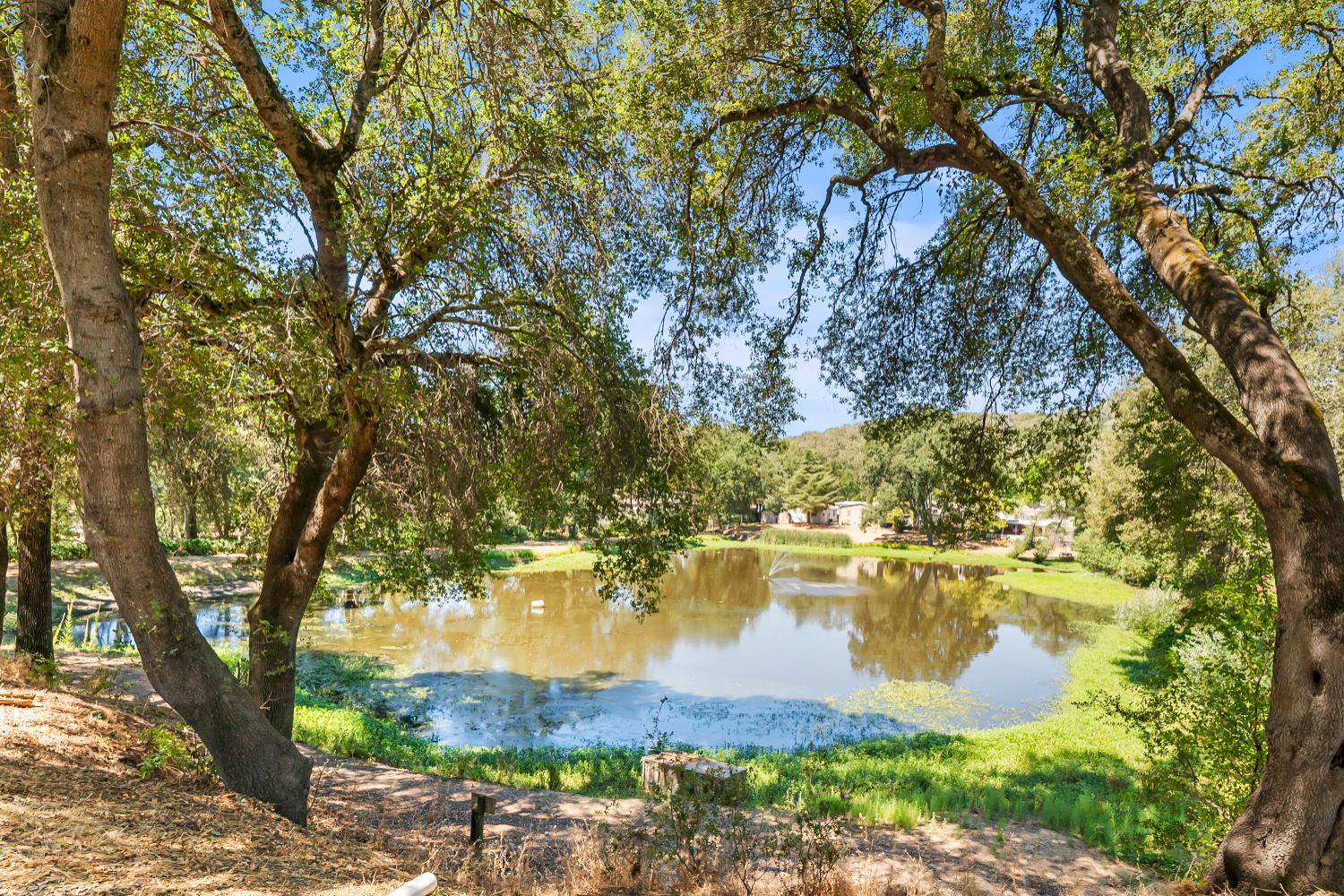 1525 Cold Springs Road, Unit 48 Placerville, CA 95667 - Photo 40 of 44 a view of lake from a yard