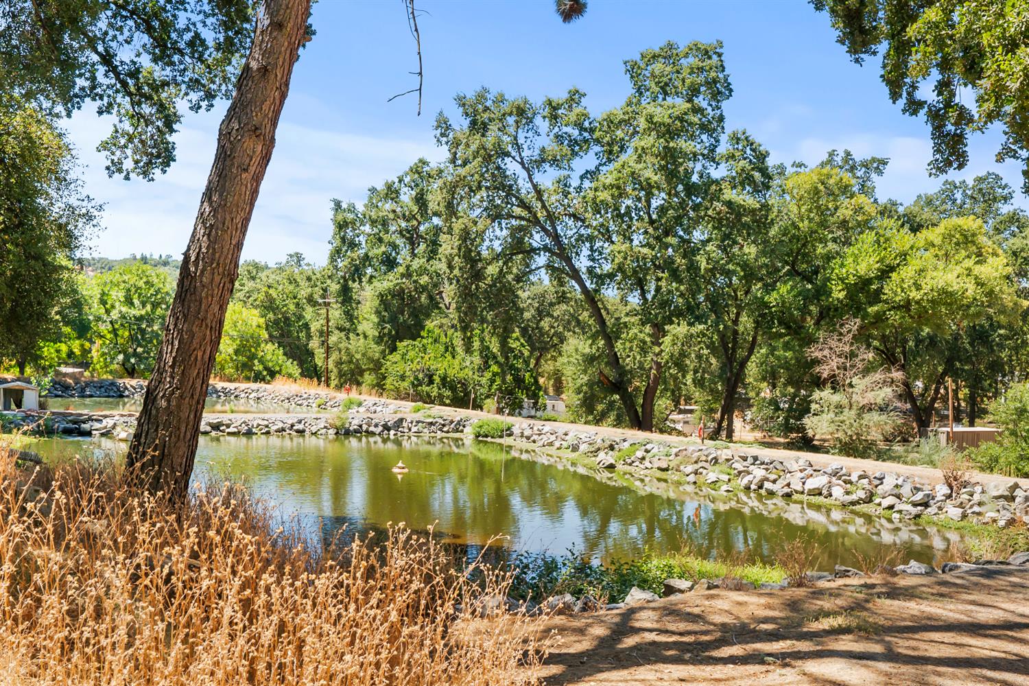1525 Cold Springs Road, Unit 48 Placerville, CA 95667 - Photo 42 of 44 a view of a lake view