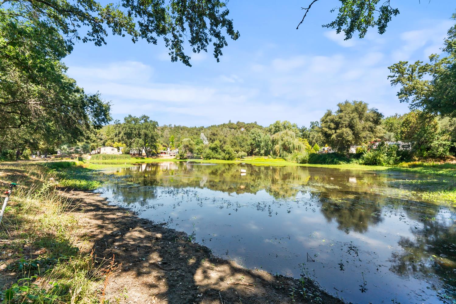 1525 Cold Springs Road, Unit 48 Placerville, CA 95667 - Photo 44 of 44 a view of lake with green space