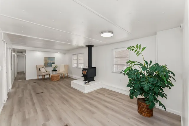 a living room with furniture and a potted plant