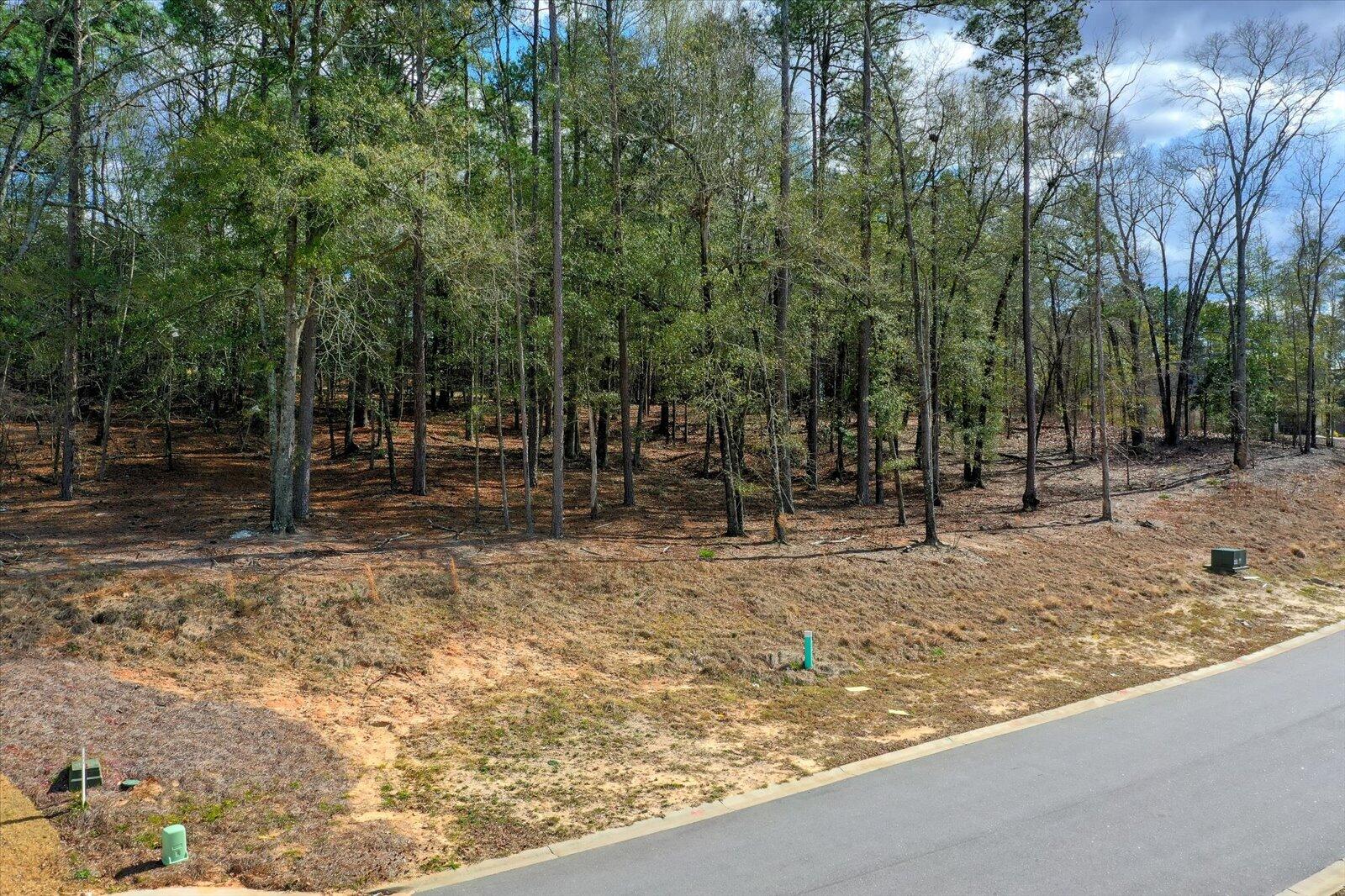 Lot 10 River Birch Road North Augusta, SC 29841 - Photo 2 of 18