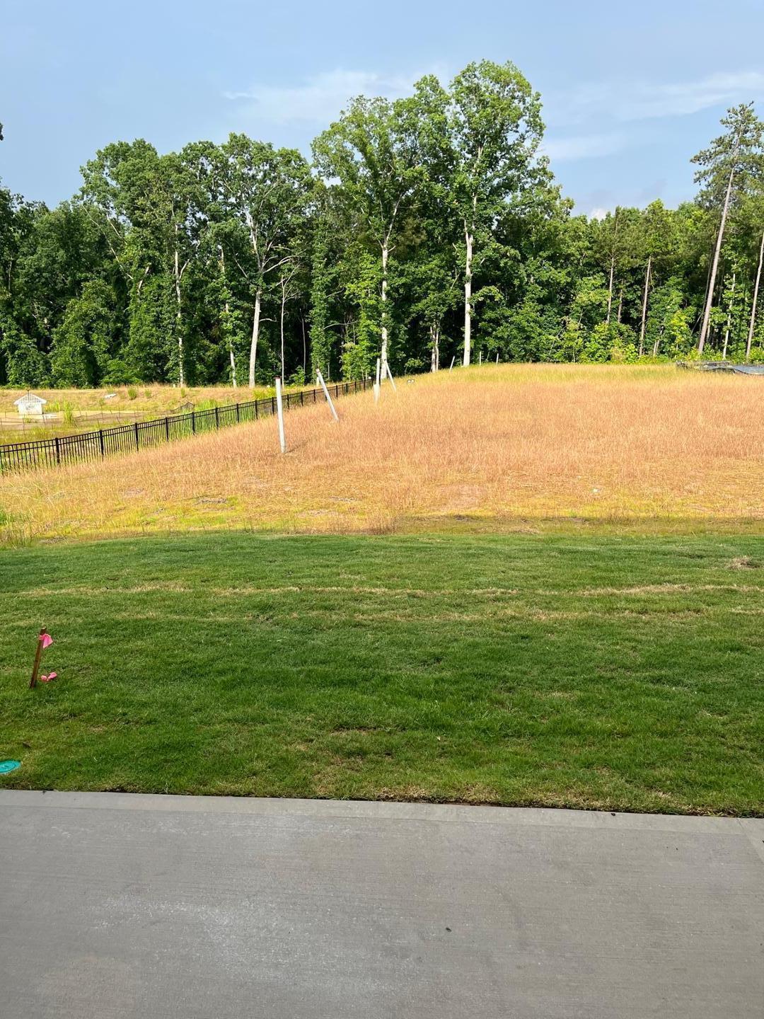 3117 Primo Drive Durham, NC 27704 - Photo 22 of 23 a view of yard with swimming pool and trees