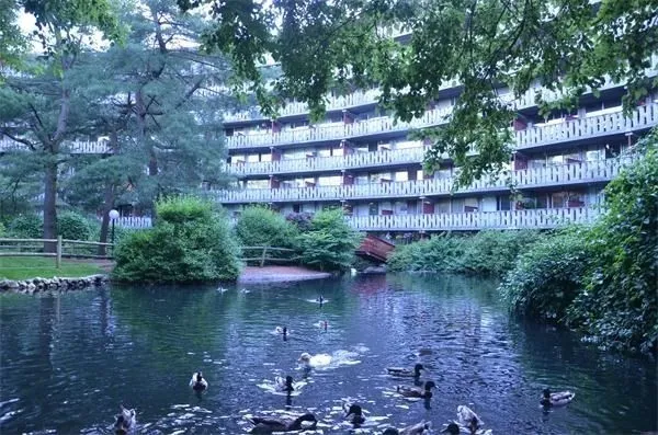 $2,495 | 200 Swanton Street, Unit 507, Winchester, MA 01890