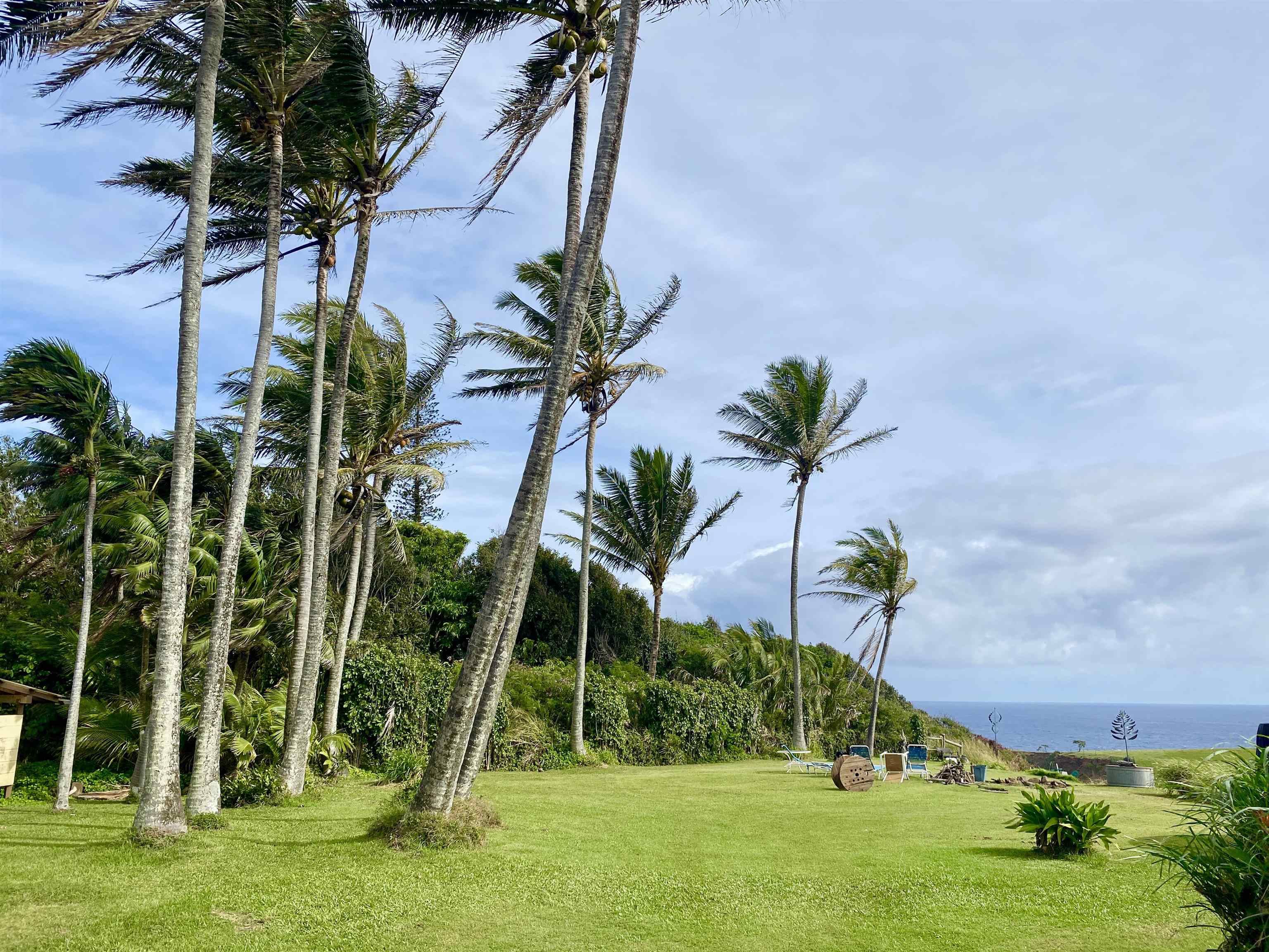 700 Honopou Road, Unit 700 HONOPOU RD Haiku, HI 96708 - Photo 1 of 50 a view of three palm trees in front of a house
