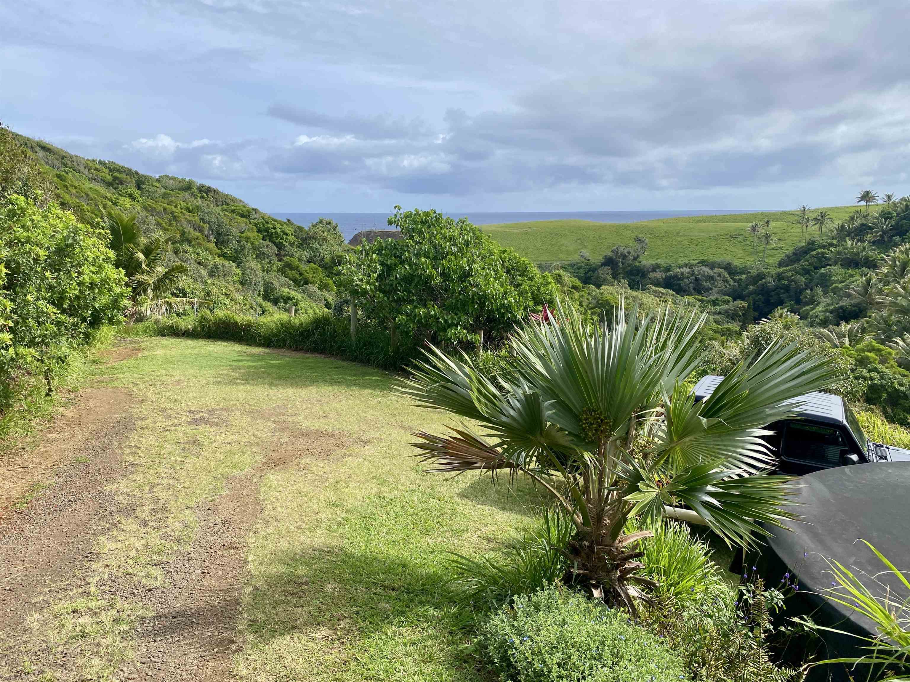 700 Honopou Road, Unit 700 HONOPOU RD Haiku, HI 96708 - Photo 11 of 50 a view of a garden