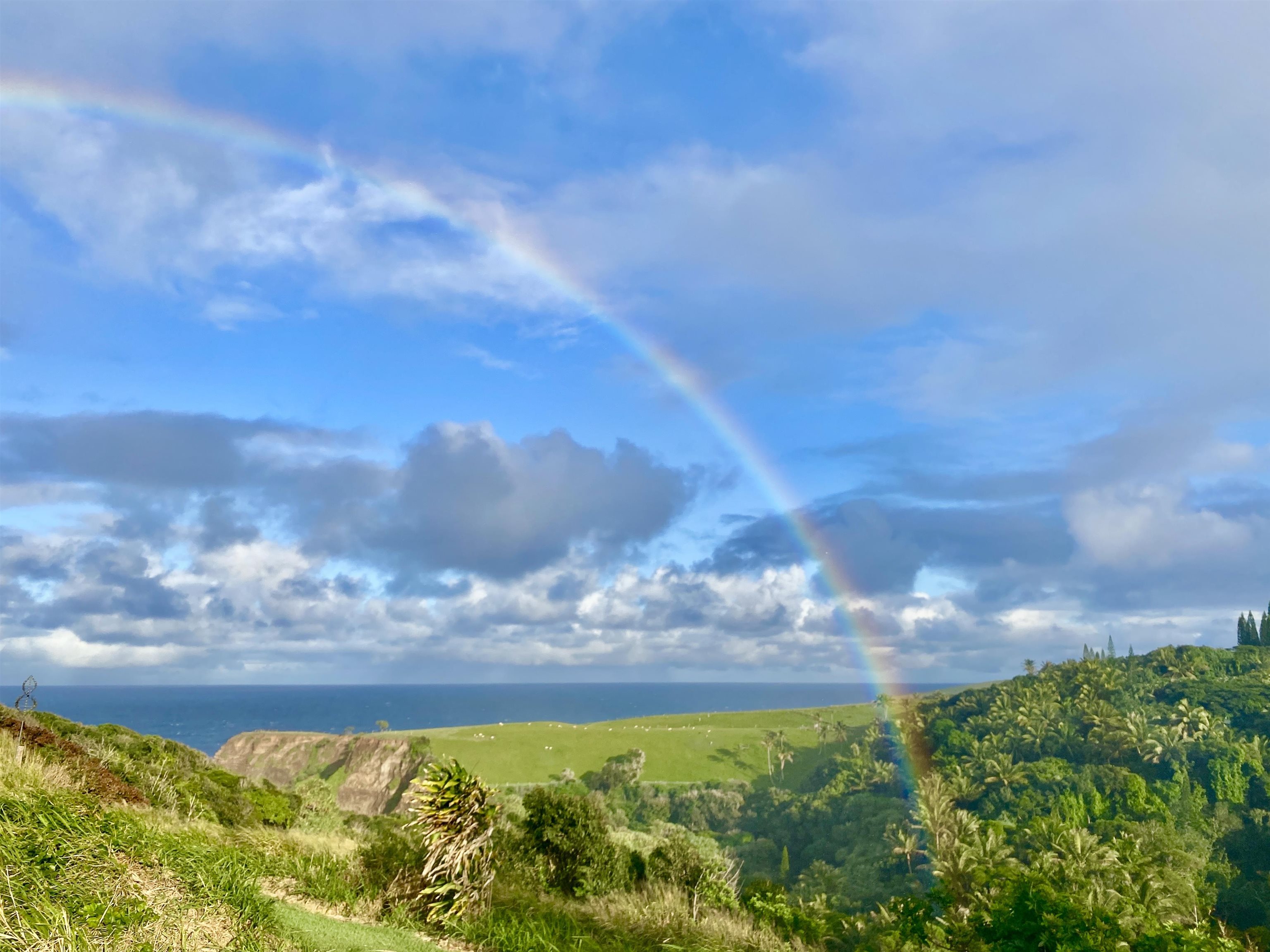 700 Honopou Road, Unit 700 HONOPOU RD Haiku, HI 96708 - Photo 2 of 50