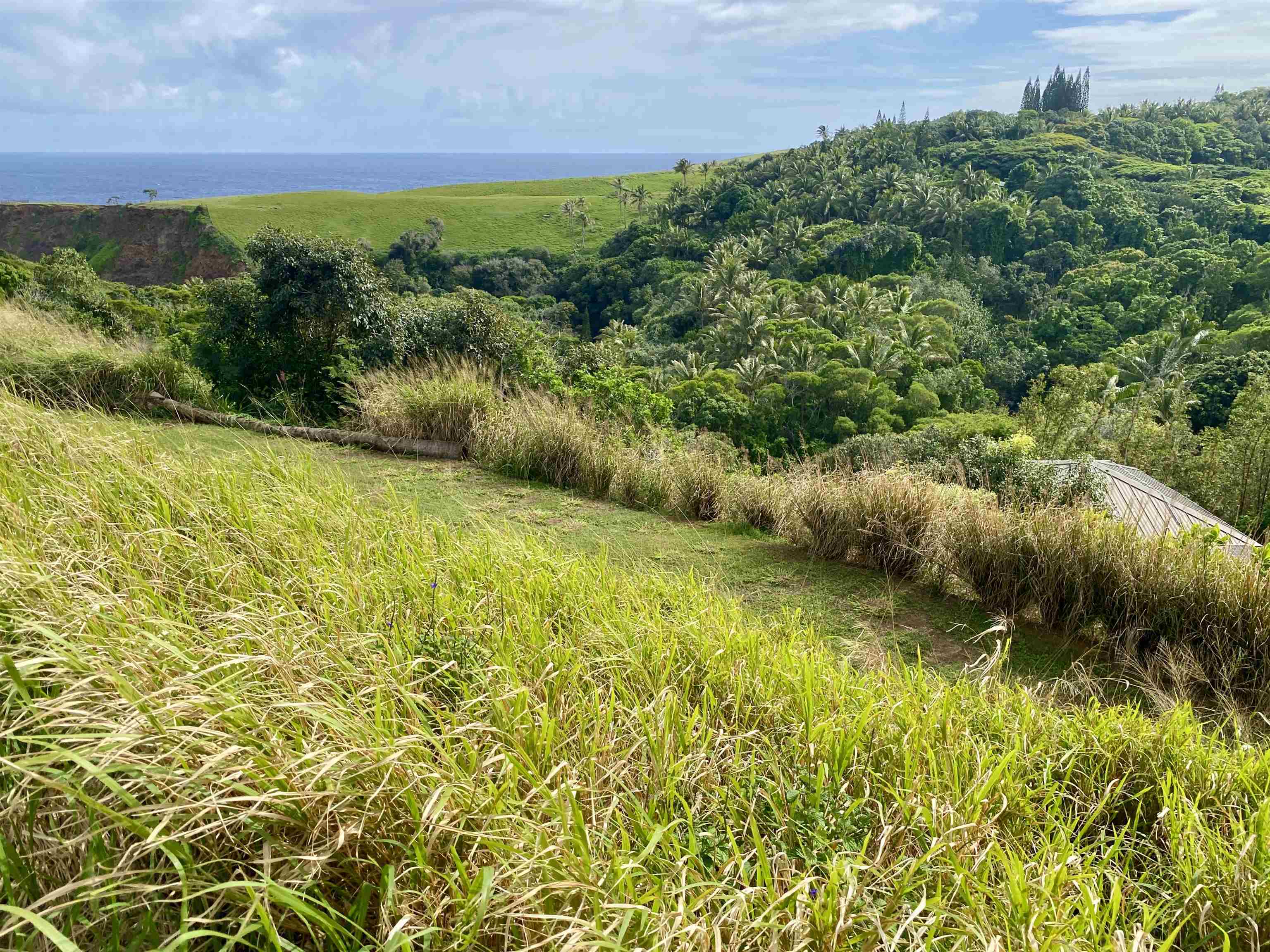700 Honopou Road, Unit 700 HONOPOU RD Haiku, HI 96708 - Photo 21 of 50 a view of a garden with a lake