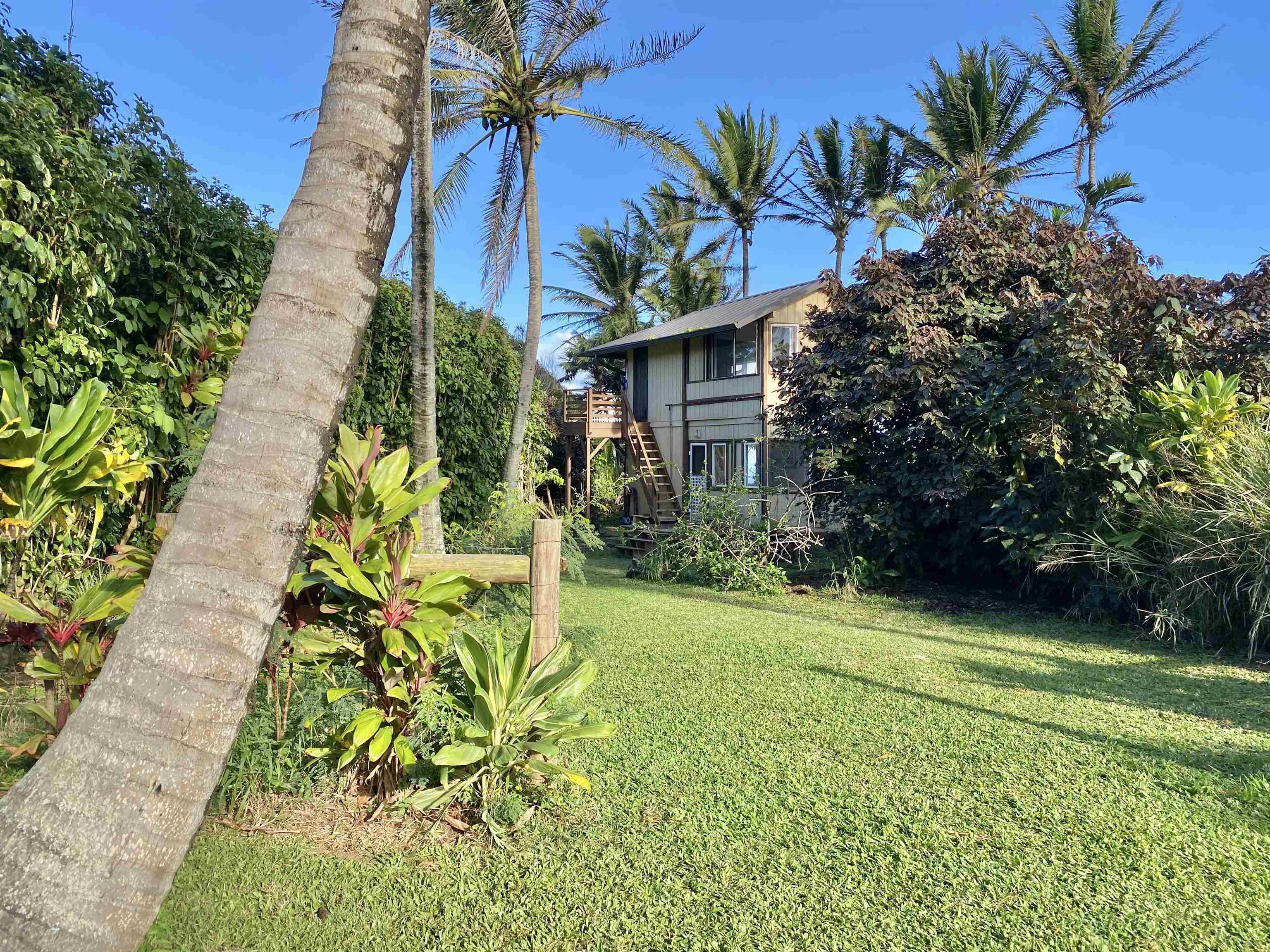 700 Honopou Road, Unit 700 HONOPOU RD Haiku, HI 96708 - Photo 33 of 50 a view of a garden with a plant