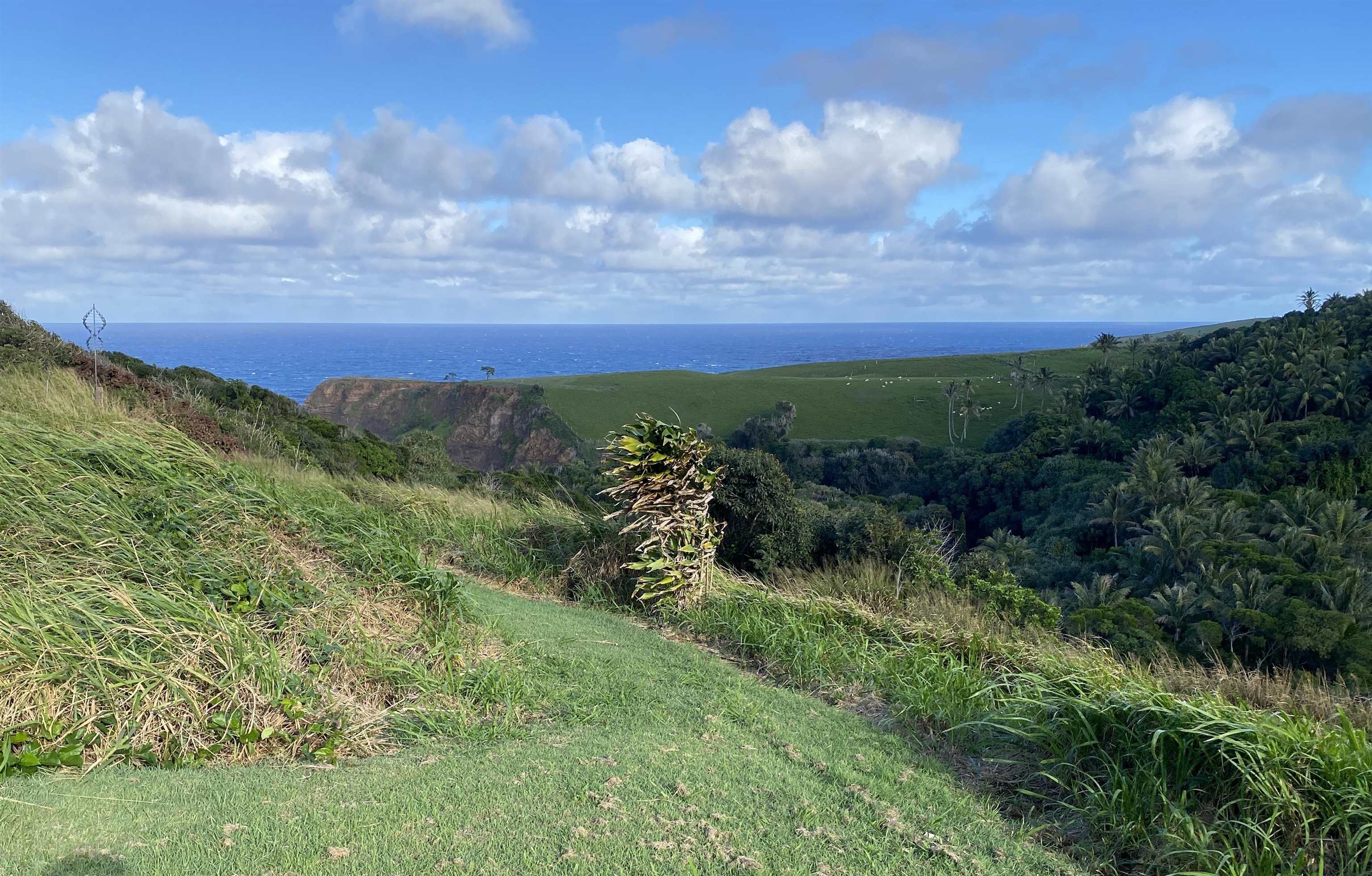 700 Honopou Road, Unit 700 HONOPOU RD Haiku, HI 96708 - Photo 10 of 50 a view of a green field with lots of bushes