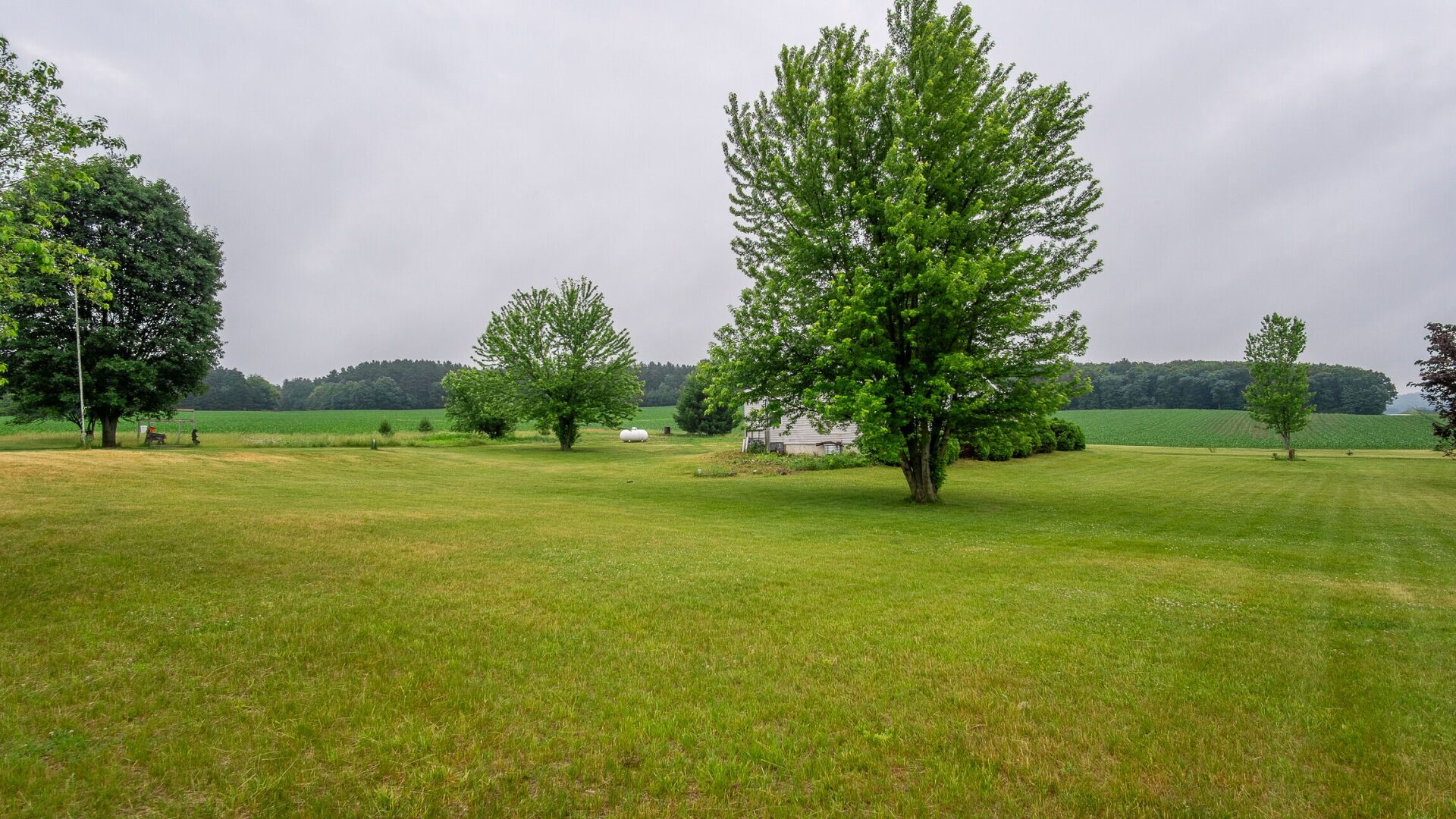 1120 County Road South Black River Falls, WI 54615 - Photo 38 of 42