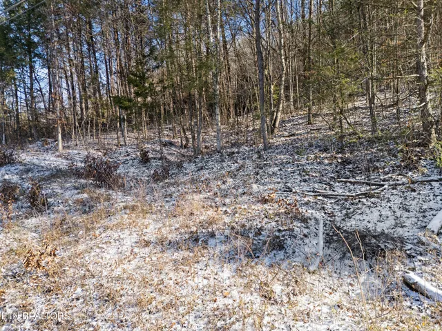 $169,950 | 304 East Brushy Valley Drive, Powell, TN 37849