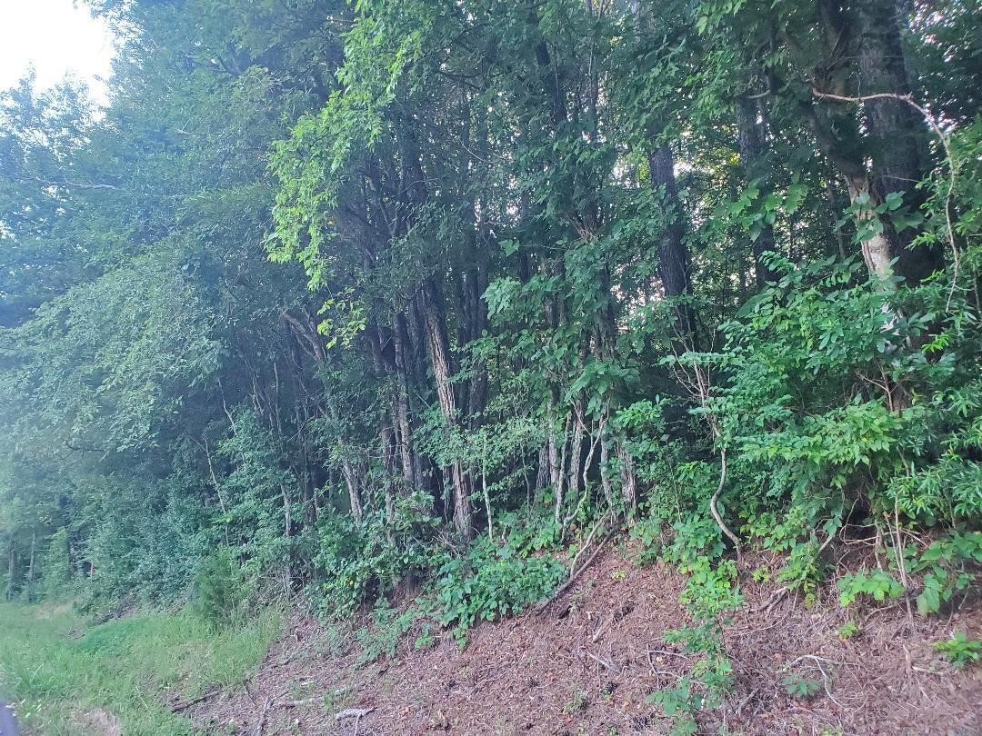 9 Highway 304 Decatur, TN 37322 - Photo 2 of 2