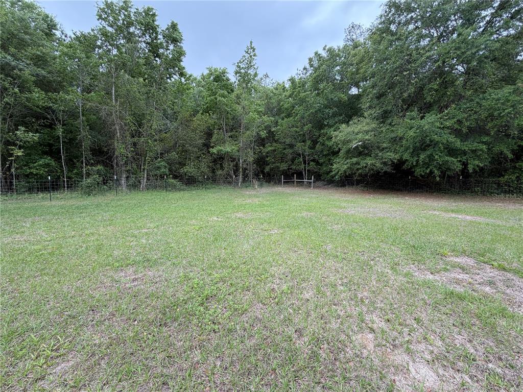683 North Court Street Bronson, FL 32621 - Photo 25 of 33 a view of a field with a trees in the background