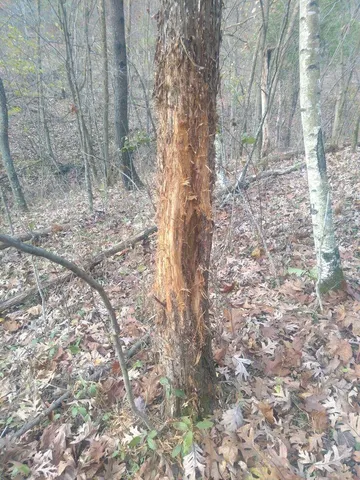 $1,150,000 | 0 County 6 La Crescent, La Crescent, MN 55947