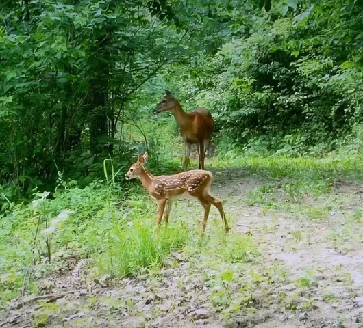 $1,150,000 | 0 County 6 La Crescent, La Crescent, MN 55947