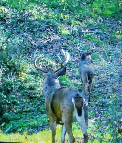 $1,150,000 | 0 County 6 La Crescent, La Crescent, MN 55947