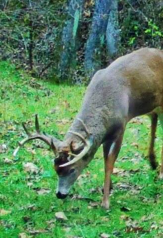 $1,150,000 | 0 County 6 La Crescent, La Crescent, MN 55947