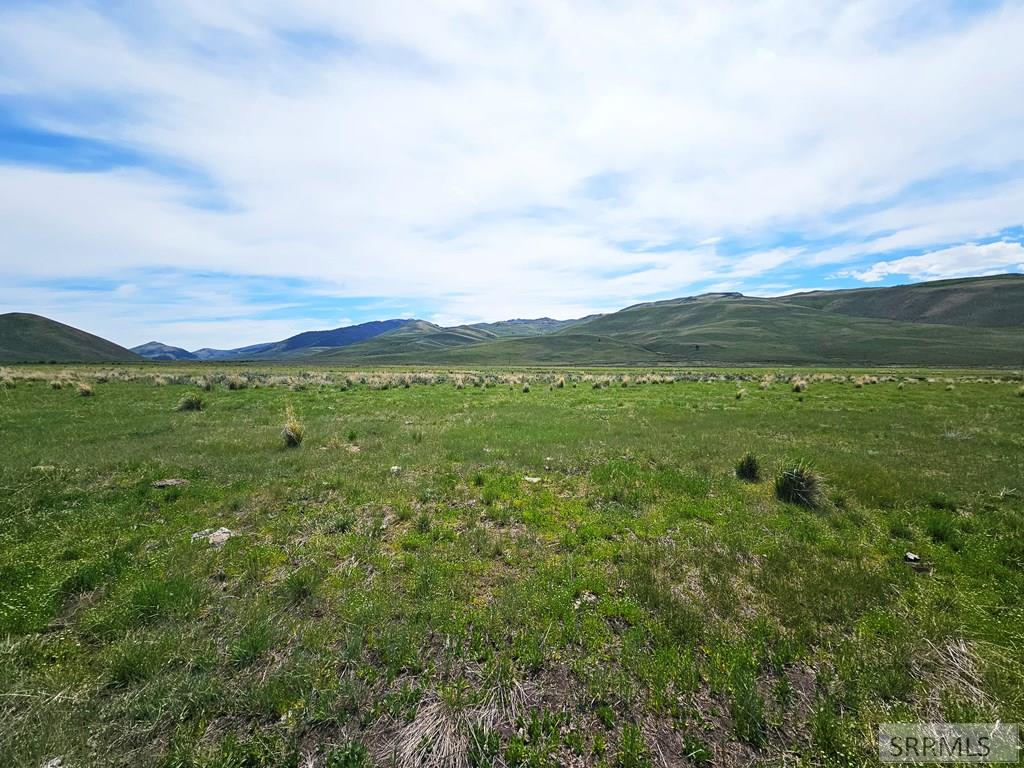 Lot 10 Dry Fork Road Moore, ID 83255 - Photo 13 of 48