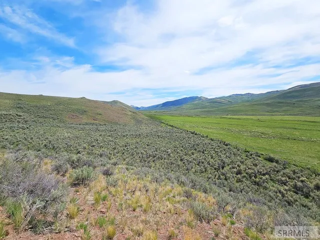 $199,000 | Lot 10 Dry Fork Road, Moore, ID 83255