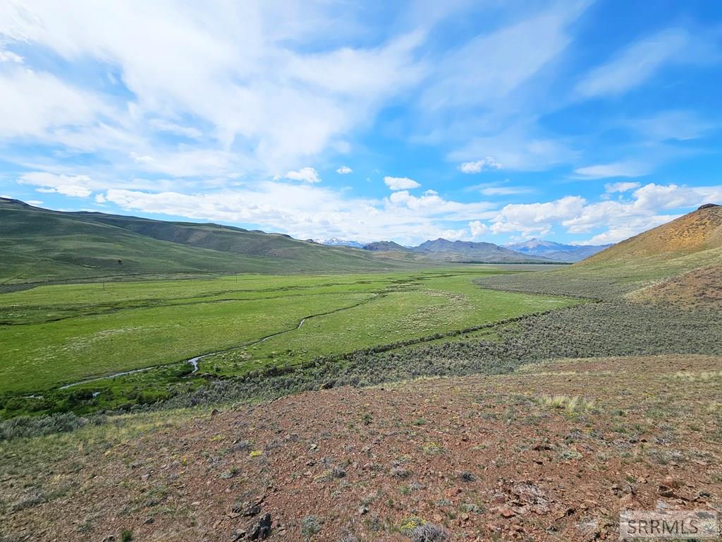 Lot 10 Dry Fork Road Moore, ID 83255 - Photo 20 of 48