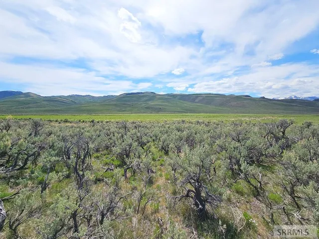 $199,000 | Lot 10 Dry Fork Road, Moore, ID 83255