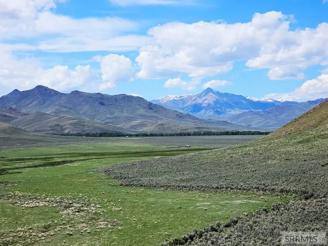 $199,000 | Lot 10 Dry Fork Road, Moore, ID 83255