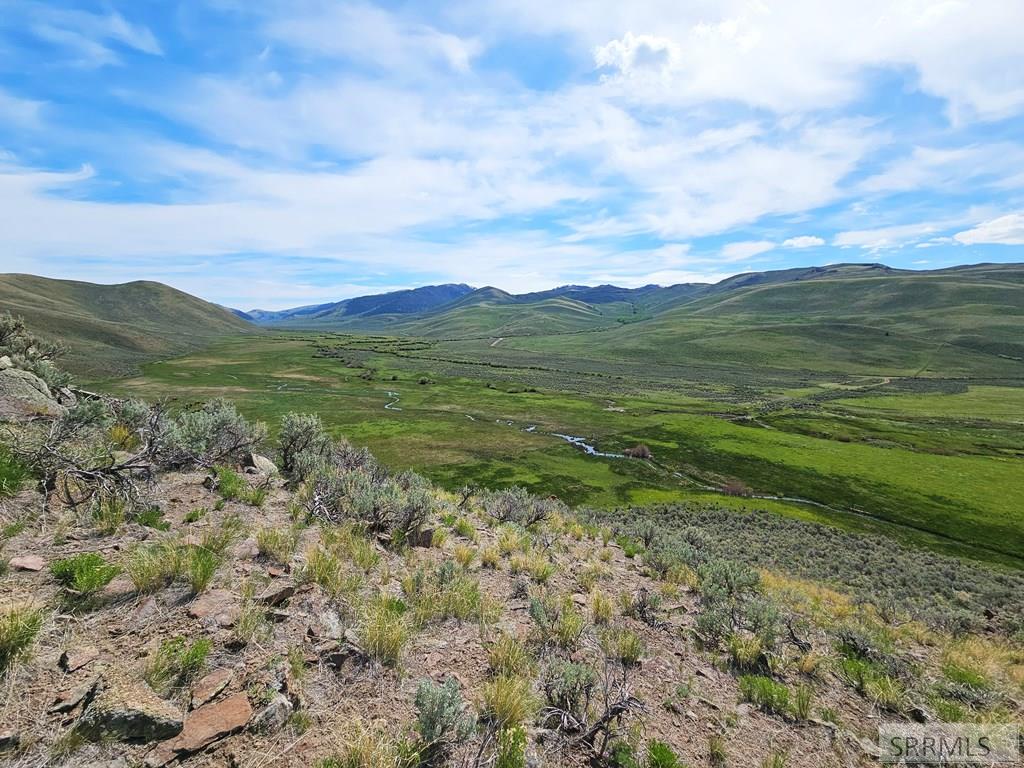 Lot 10 Dry Fork Road Moore, ID 83255 - Photo 24 of 48