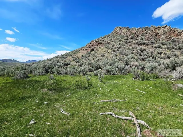 $199,000 | Lot 10 Dry Fork Road, Moore, ID 83255