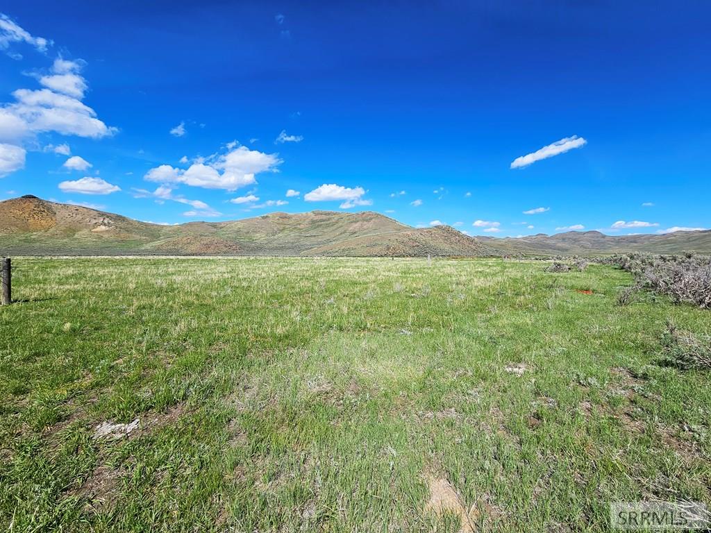 Lot 10 Dry Fork Road Moore, ID 83255 - Photo 28 of 48