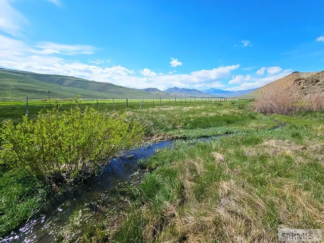 $199,000 | Lot 10 Dry Fork Road, Moore, ID 83255