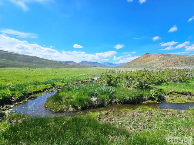 $199,000 | Lot 10 Dry Fork Road, Moore, ID 83255