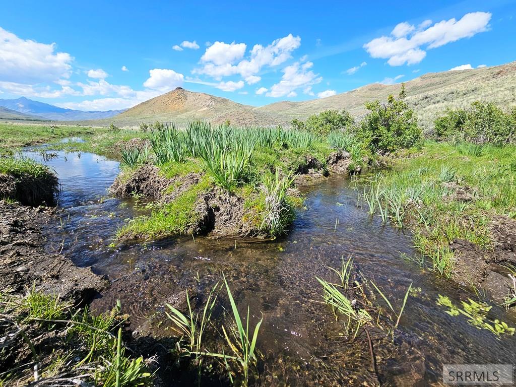 Lot 10 Dry Fork Road Moore, ID 83255 - Photo 9 of 48