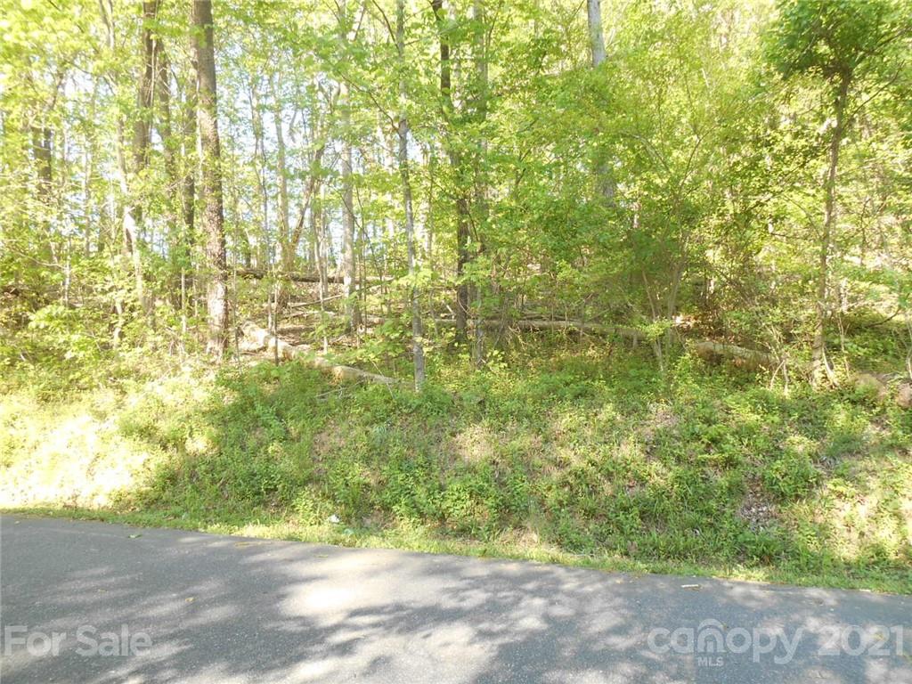 0 Shepherd Street Tryon, NC 28782 - Photo 5 of 9 a view of a yard with plants and wooden fence