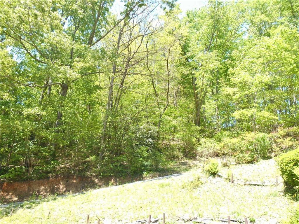 0 Shepherd Street Tryon, NC 28782 - Photo 8 of 9 a view of yard