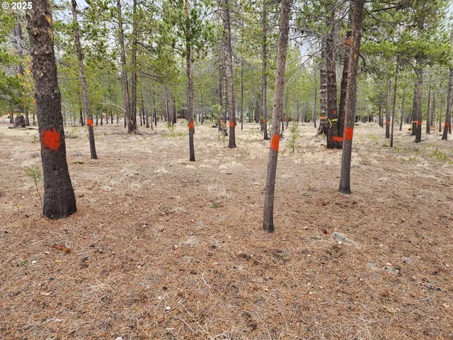 a view of street with trees