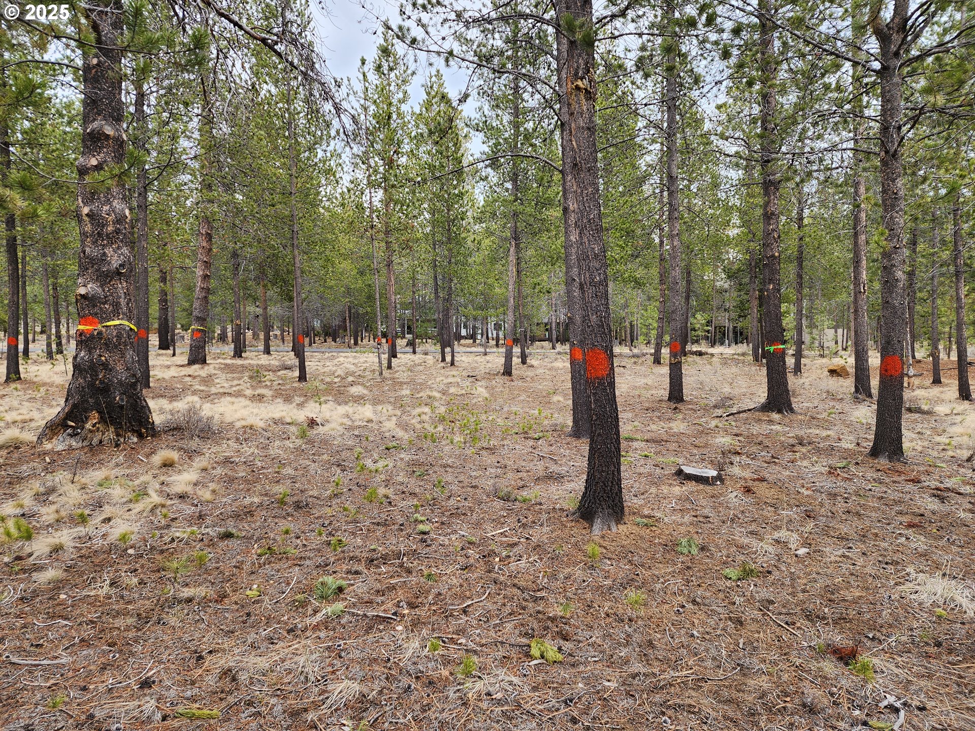 57626 Cultus Lane Sunriver, OR 97707 - Photo 7 of 10 a childrens park with lots of trees