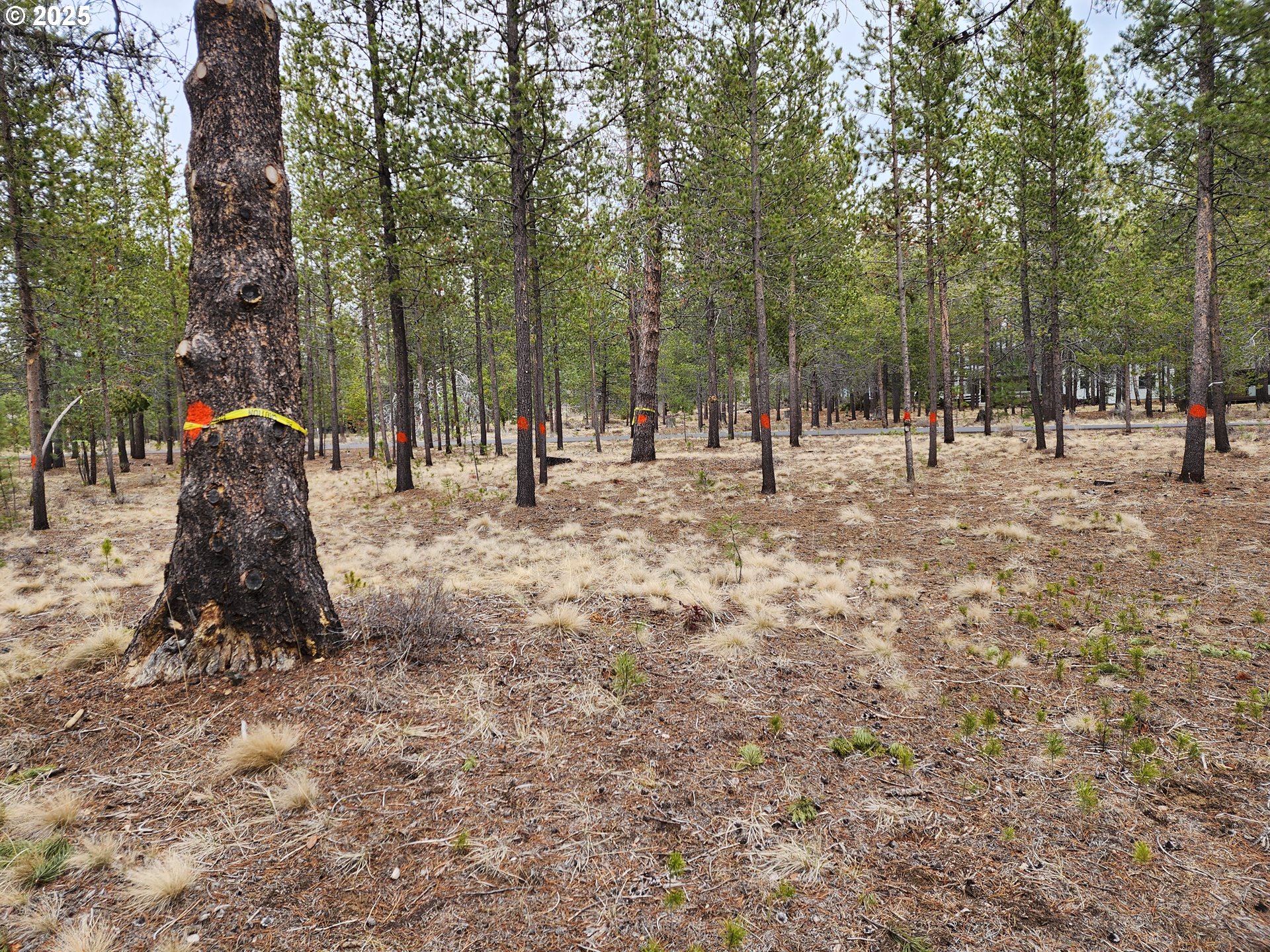 57626 Cultus Lane Sunriver, OR 97707 - Photo 8 of 10 a view of outdoor space with trees