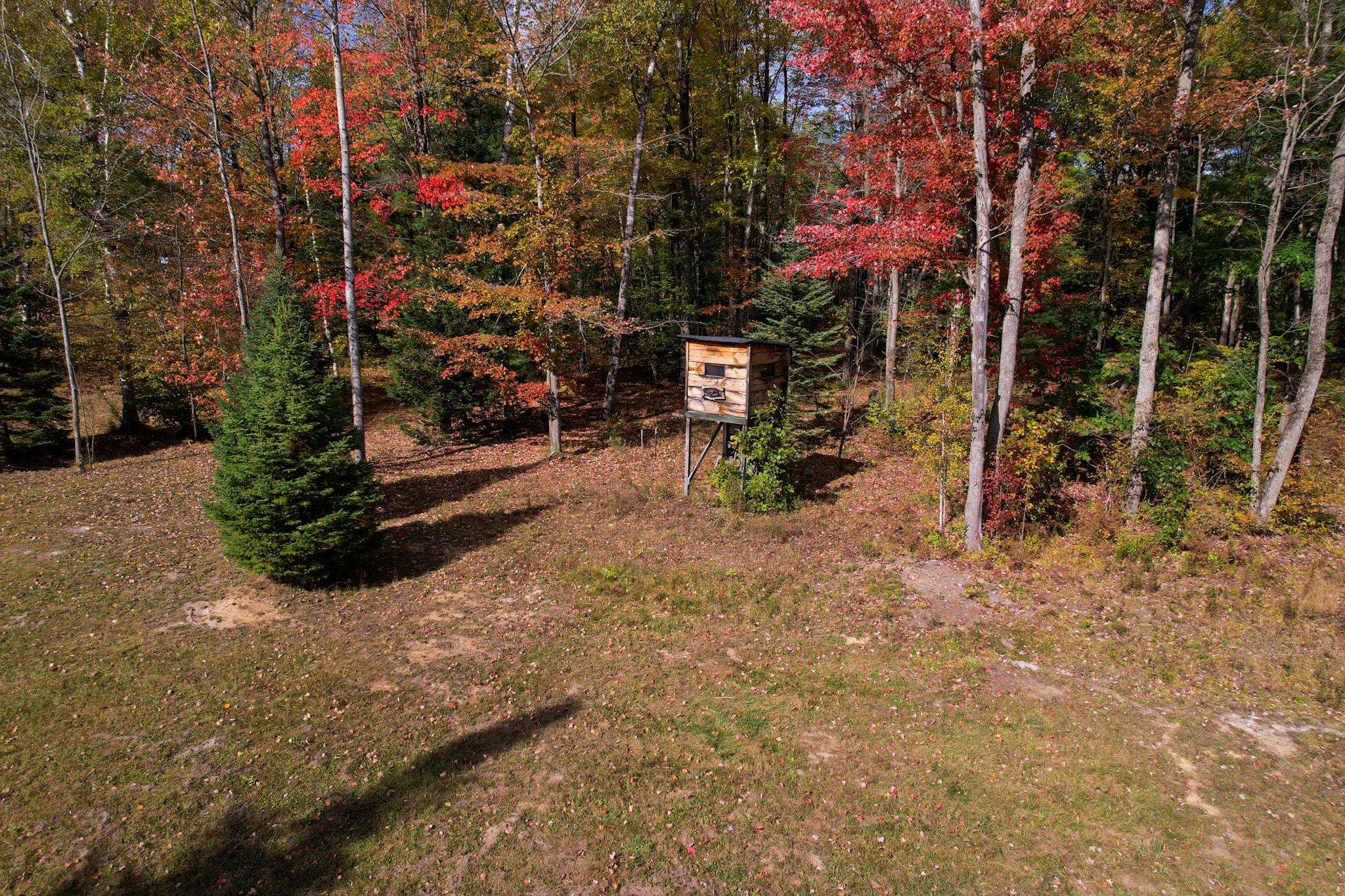5110 Wildwood Road Alger, MI 48610 - Photo 15 of 48 Gallery Image 15
