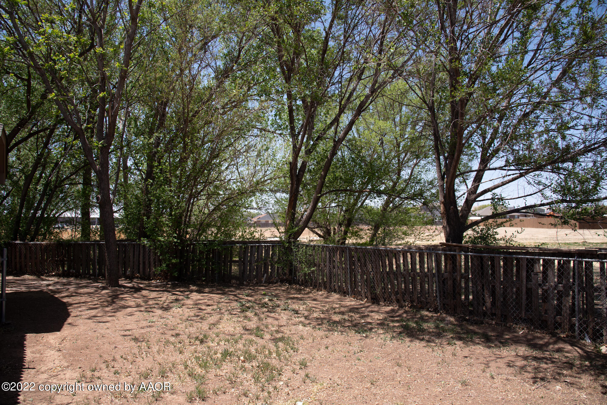 3112 Surf Drive Amarillo, TX 79110 - Photo 28 of 28 Trees