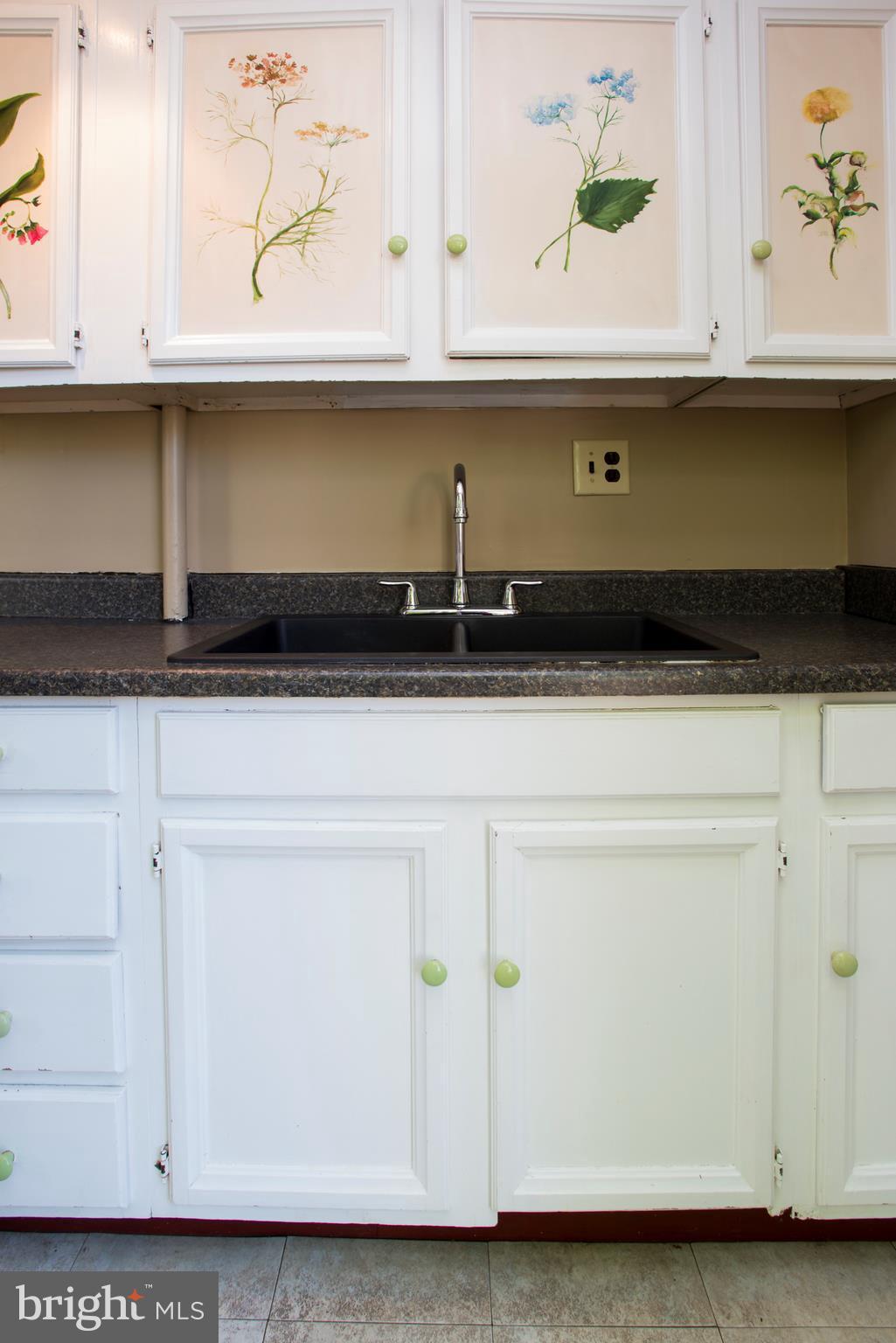 4502 Keswick Road Baltimore, MD 21210 - Photo 10 of 30 Double Sink