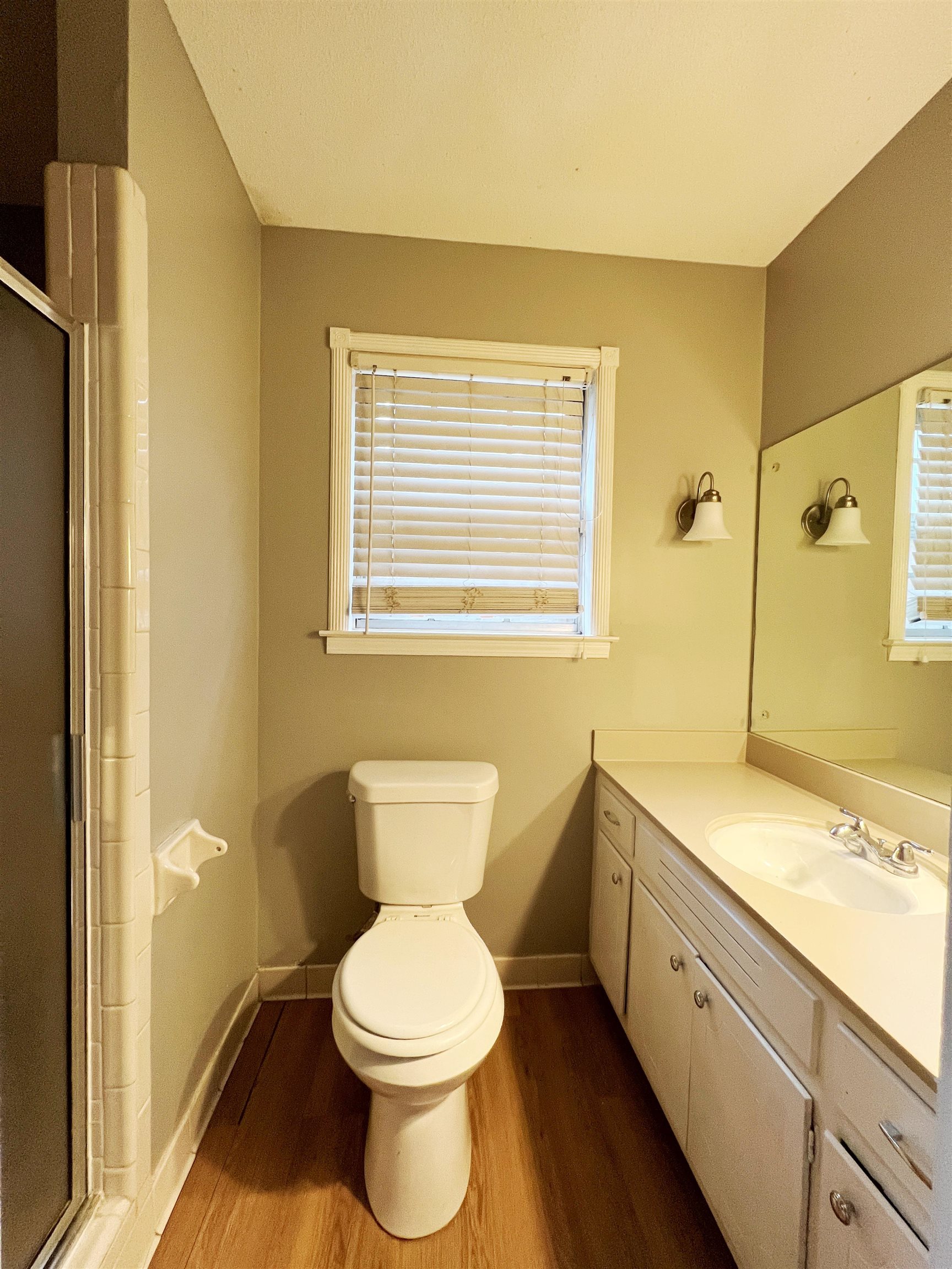 3169 Flint Drive Memphis, TN 38115 - Photo 7 of 13 a bathroom with a sink and a toilet