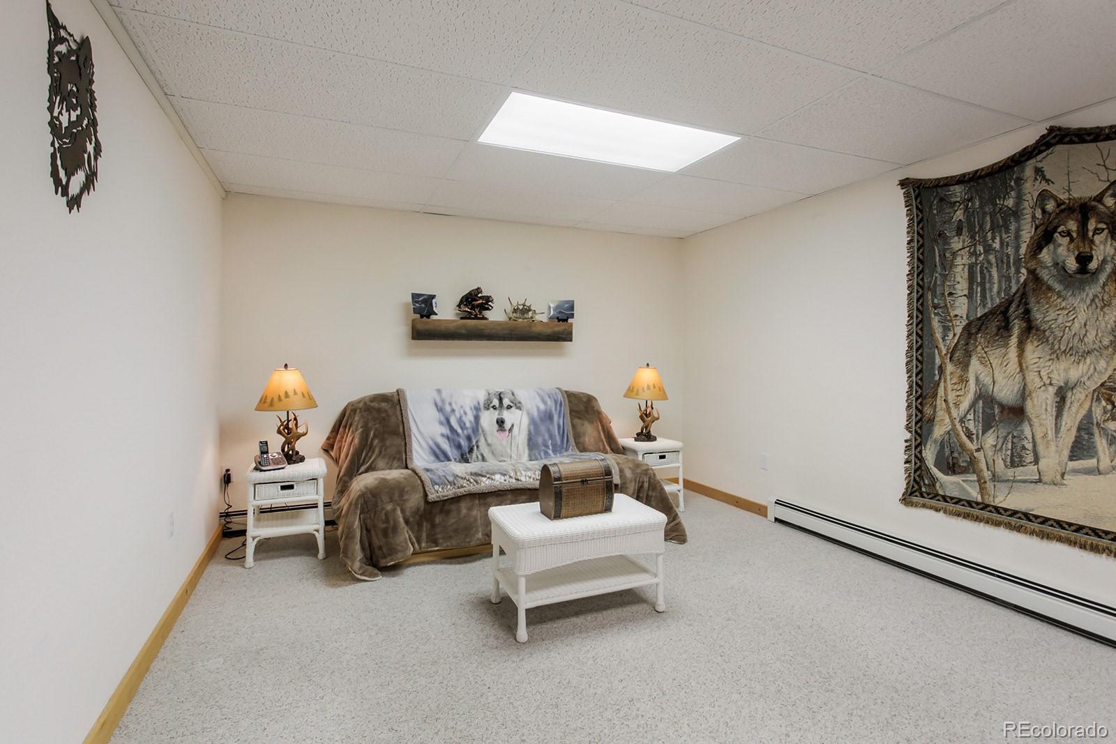 601 Old Corral Road Bailey, CO 80421 - Photo 29 of 35