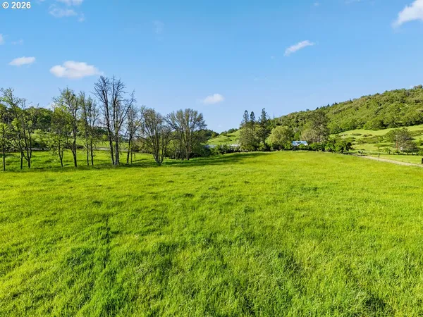 a view of a field with a tree in the background
